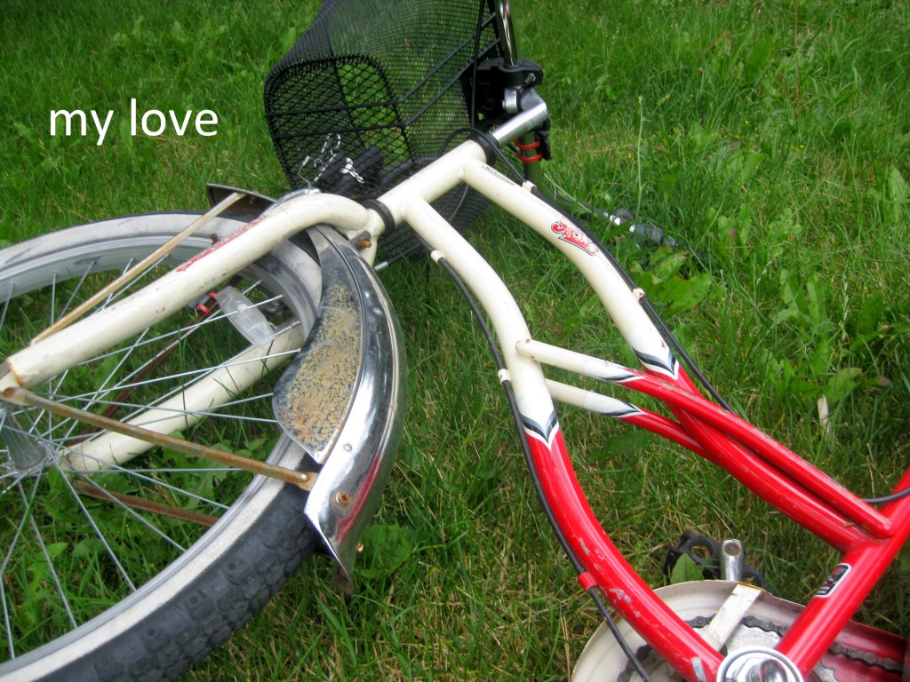 my bike and joy